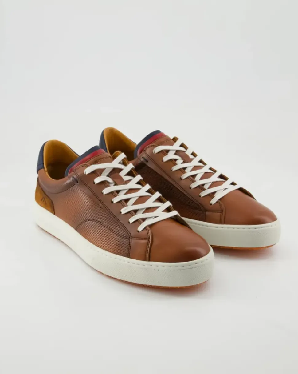 Anopolis Sneaker in Braun