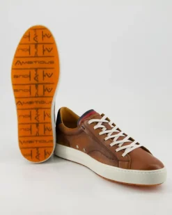 Anopolis Sneaker in Braun