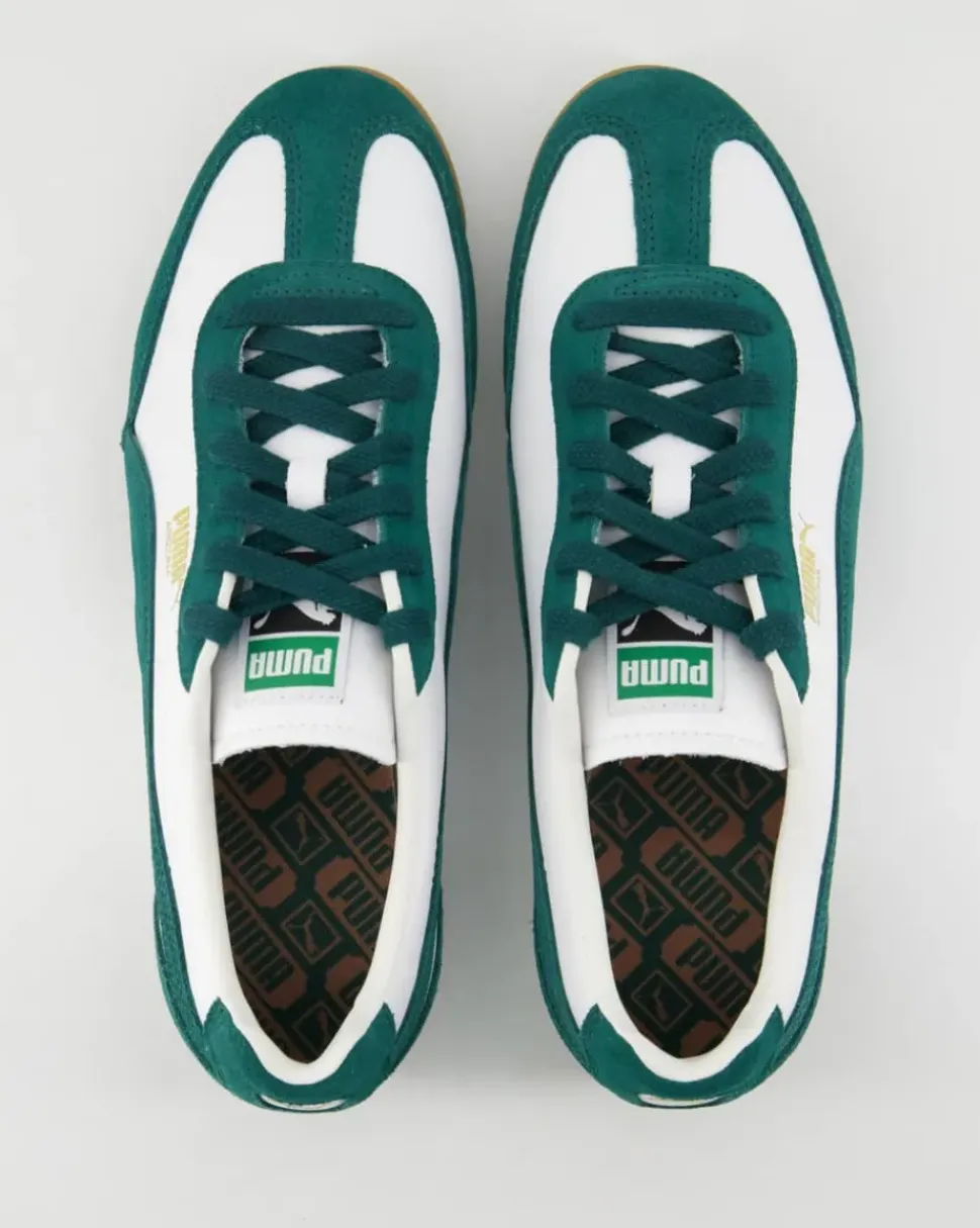 Arizona Retro Sneaker in Grün