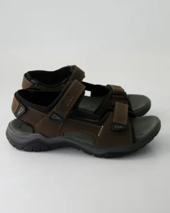 ARLO 02 Sandalen in Braun
