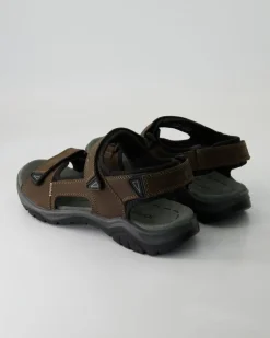 ARLO 02 Sandalen in Braun