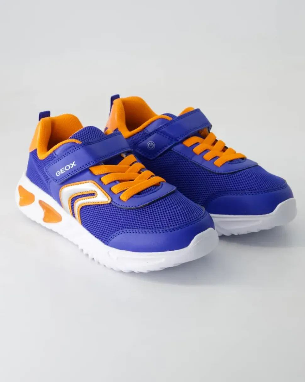 Assister Boy Sneaker in Blau