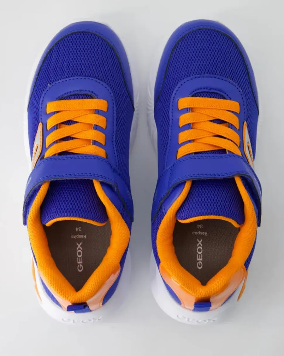 Assister Boy Sneaker in Blau