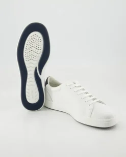 Baltmoore Sneaker in Weiß