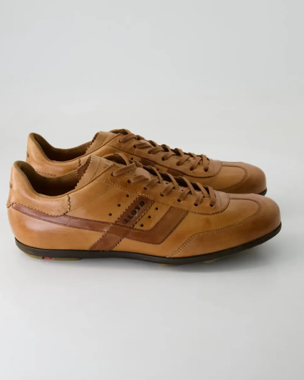 BARRY Sneaker in Braun
