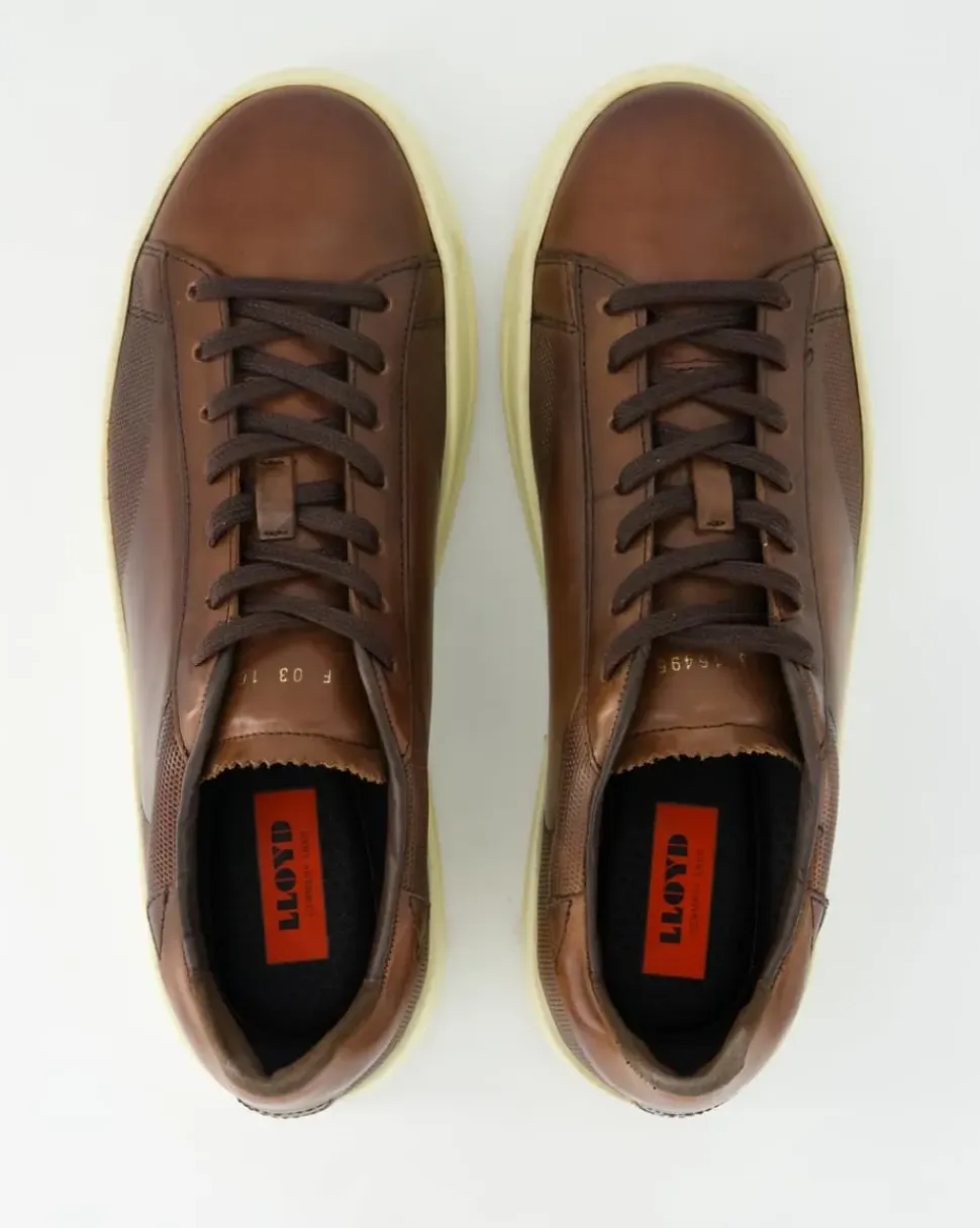 BLACKWELL Sneaker in Braun