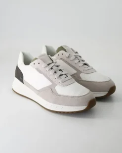 Branthon Sneaker in Beige