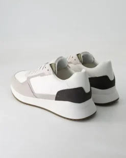 Branthon Sneaker in Beige