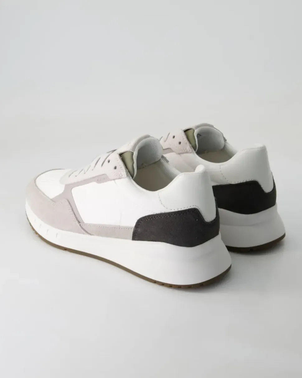 Branthon Sneaker in Beige