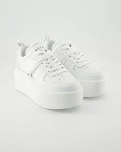Colette Low Sneaker in Weiß