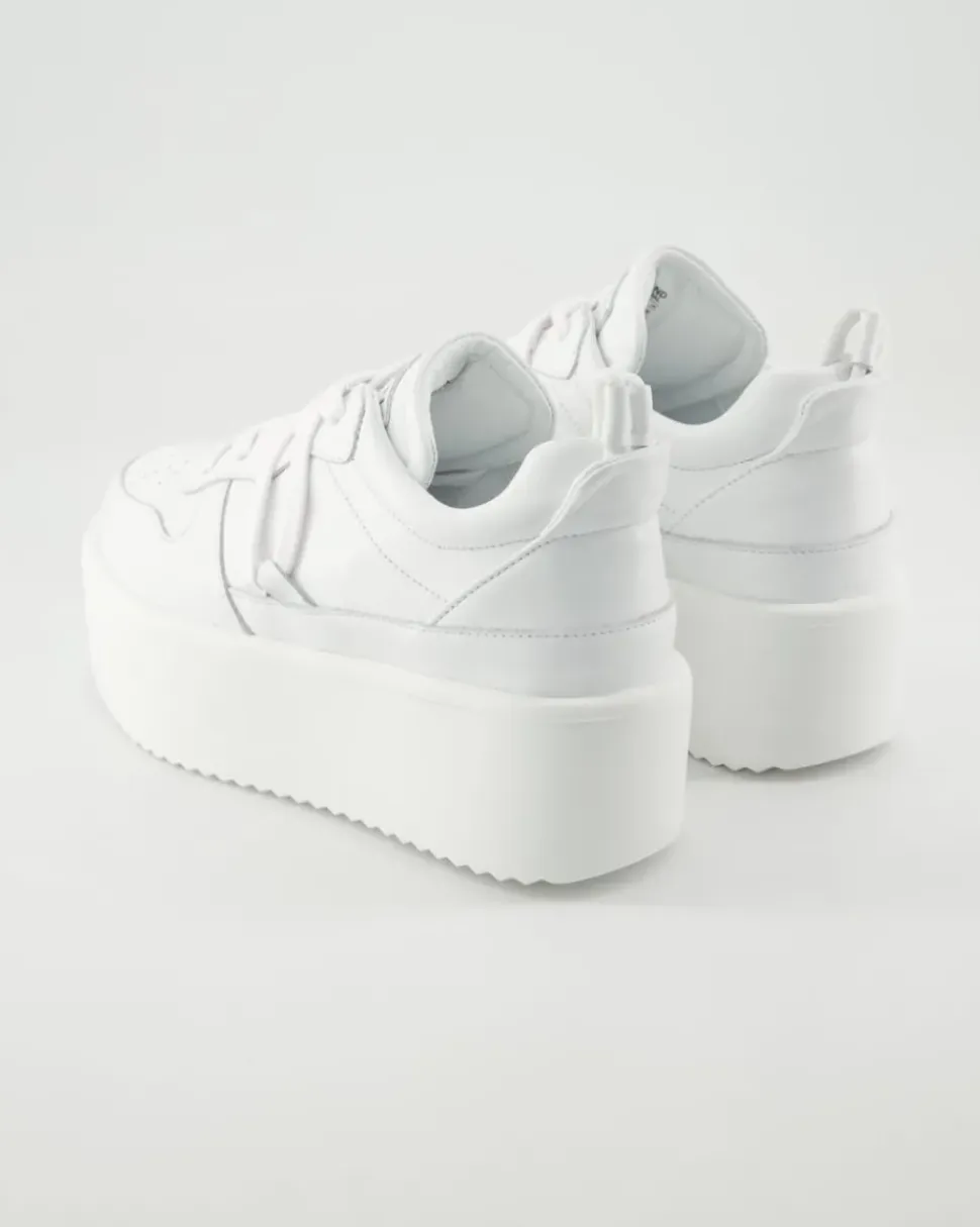 Colette Low Sneaker in Weiß