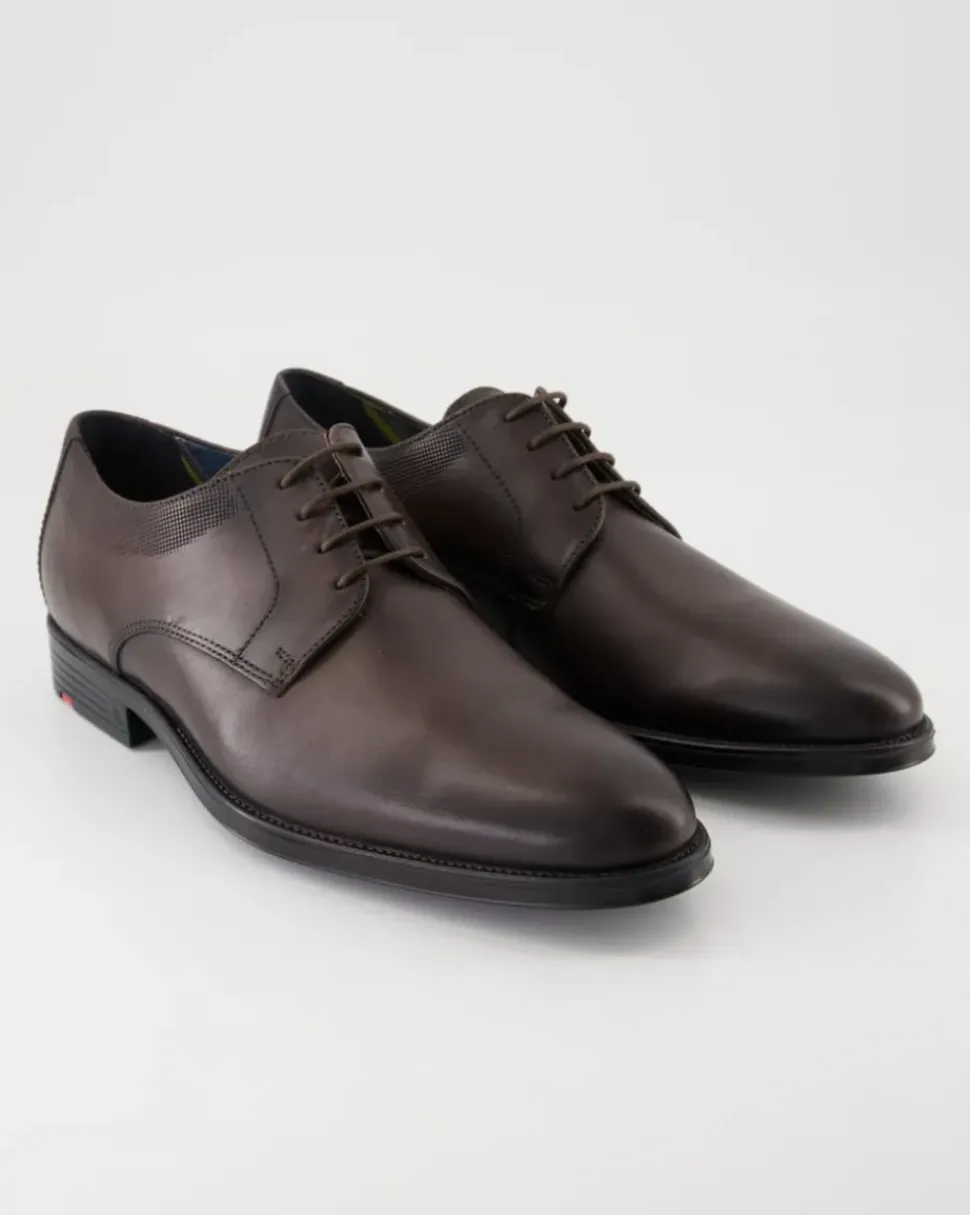 DAVENPORT Schnürschuhe in Braun