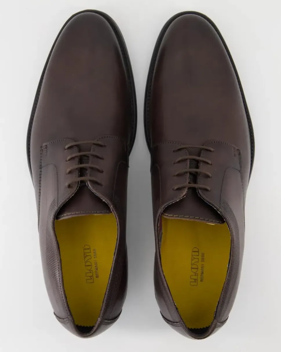 DAVENPORT Schnürschuhe in Braun