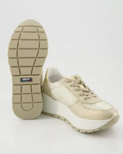 DKO 76613 Sneaker in Gold