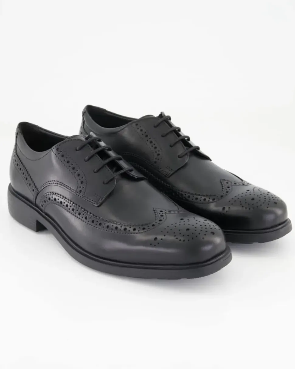DUBLIN B - SMOOTH LEATH. Business Schuhe in Schwarz