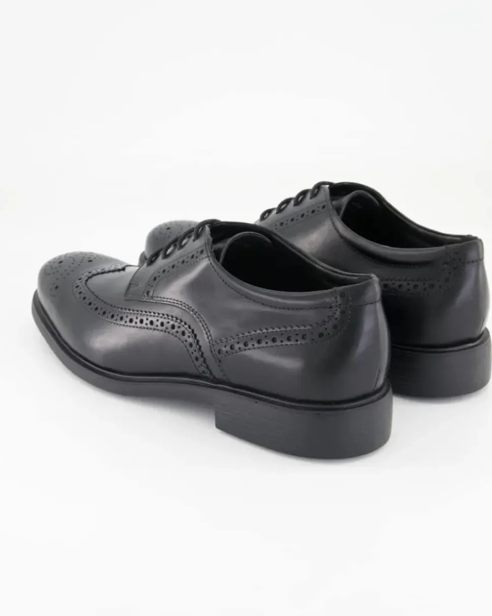 DUBLIN B - SMOOTH LEATH. Business Schuhe in Schwarz