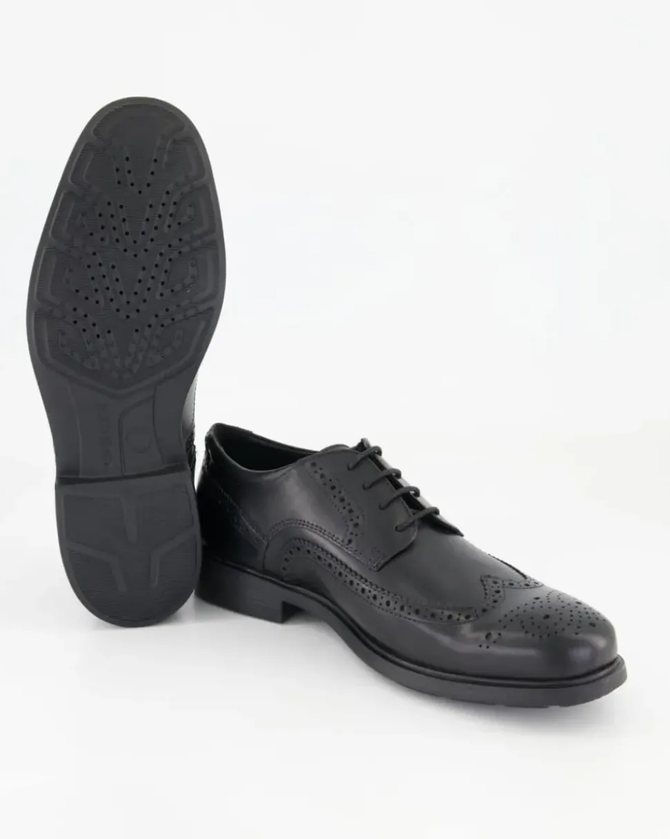 DUBLIN B - SMOOTH LEATH. Business Schuhe in Schwarz
