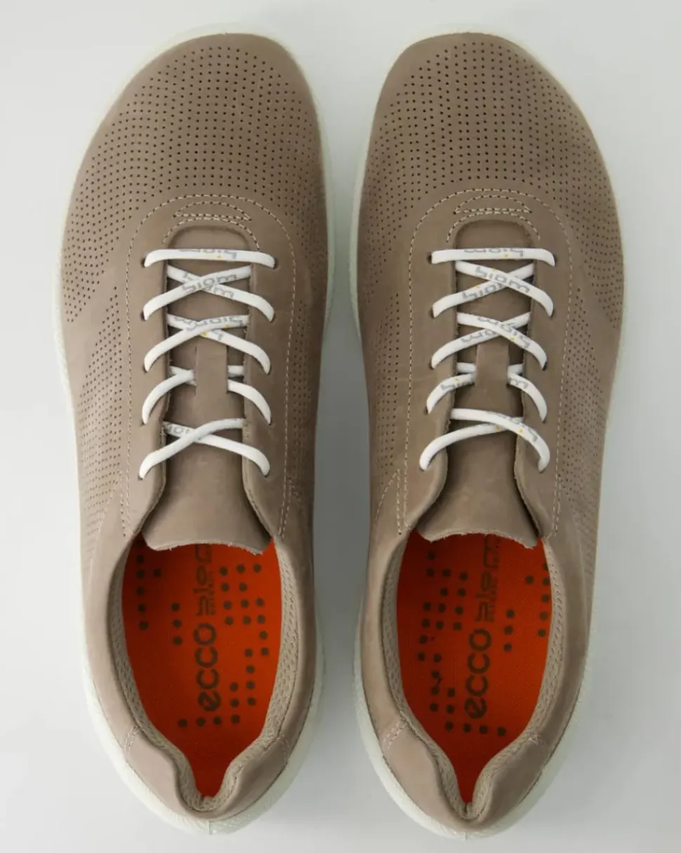 ECCO BIOM LITE M Sneaker in Braun