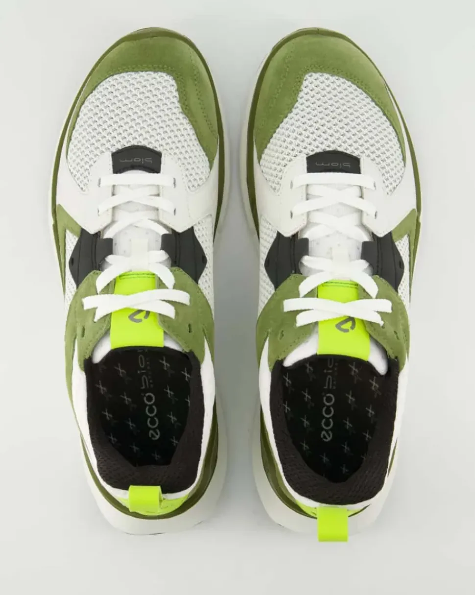 ECCO BIOM 2.2 M Sneaker in Grün