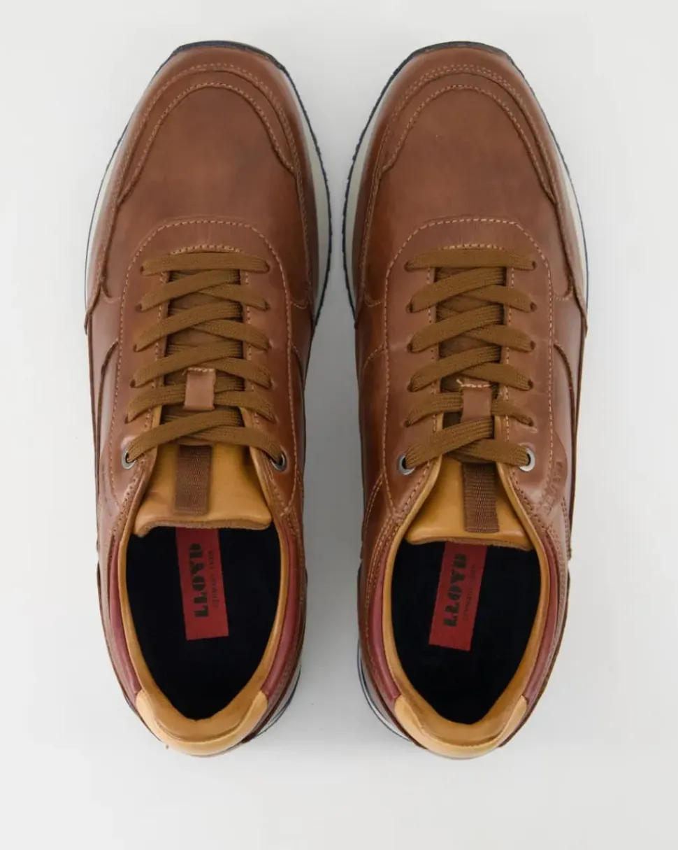 EDITTA Schnürschuhe in Braun