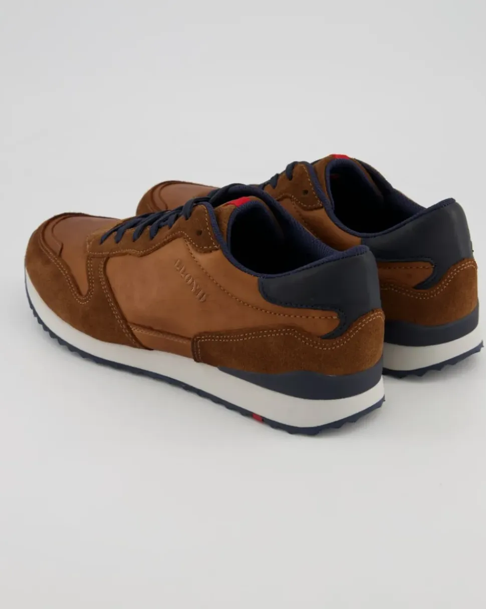 EDMOND Sneaker in Braun