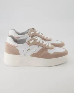 E306564D Sneaker in Rosa