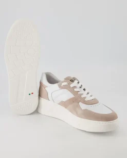 E306564D Sneaker in Rosa