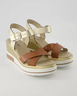 E218737D-329 Wedges in Gold
