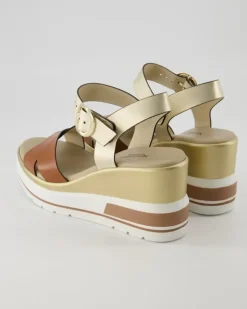 E218737D-329 Wedges in Gold
