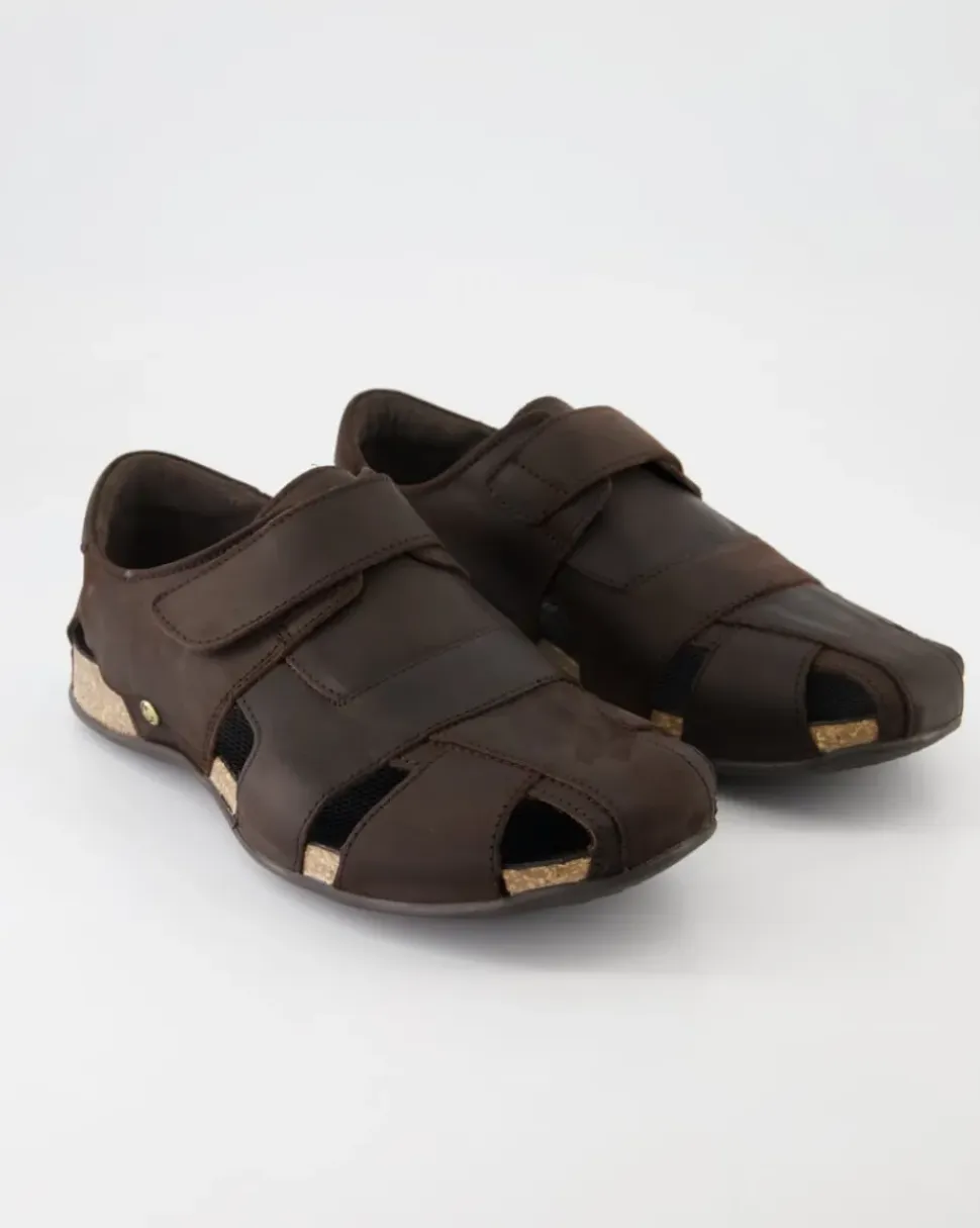 Fletcher Basics C1 Sandalen in Braun