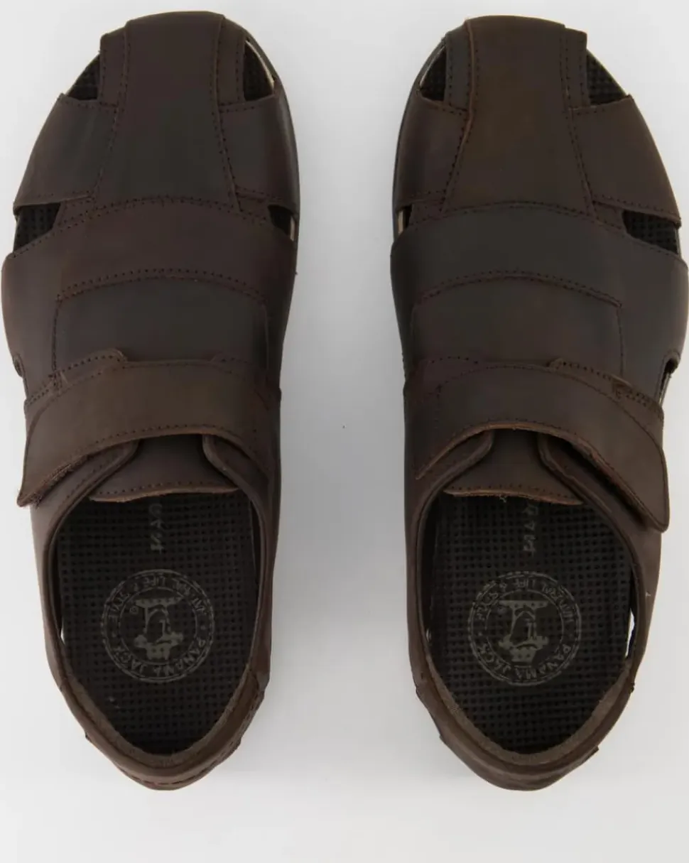 Fletcher Basics C1 Sandalen in Braun