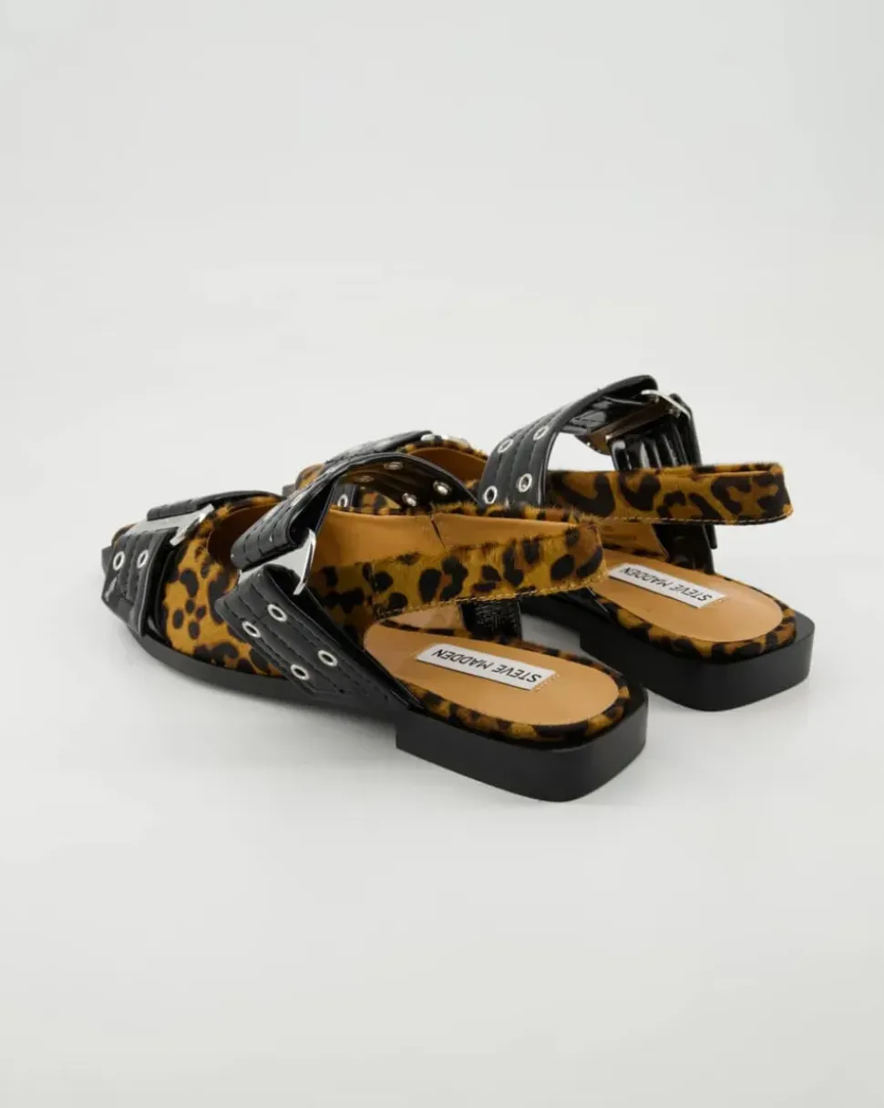 Grand Ave-L Ballerinas in Schwarz