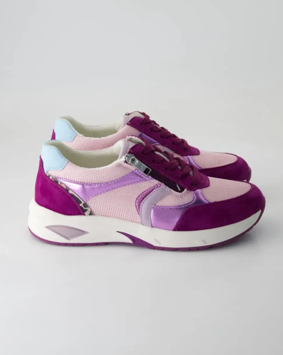 H-Jill Schnürschuhe in Lila