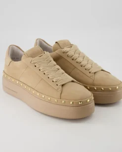 Hot Sneaker in Beige