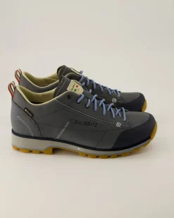 Low Fg Evo GTX Wanderschuhe in Blau