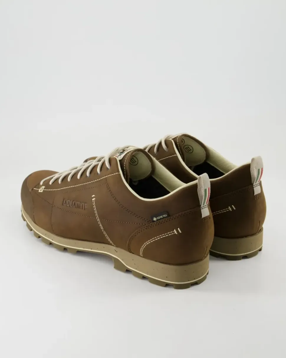 Low Fg Evo GTX Wanderschuhe in Braun