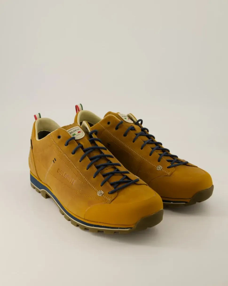 Low Fg Evo GTX Wanderschuhe in Braun