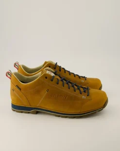 Low Fg Evo GTX Wanderschuhe in Braun