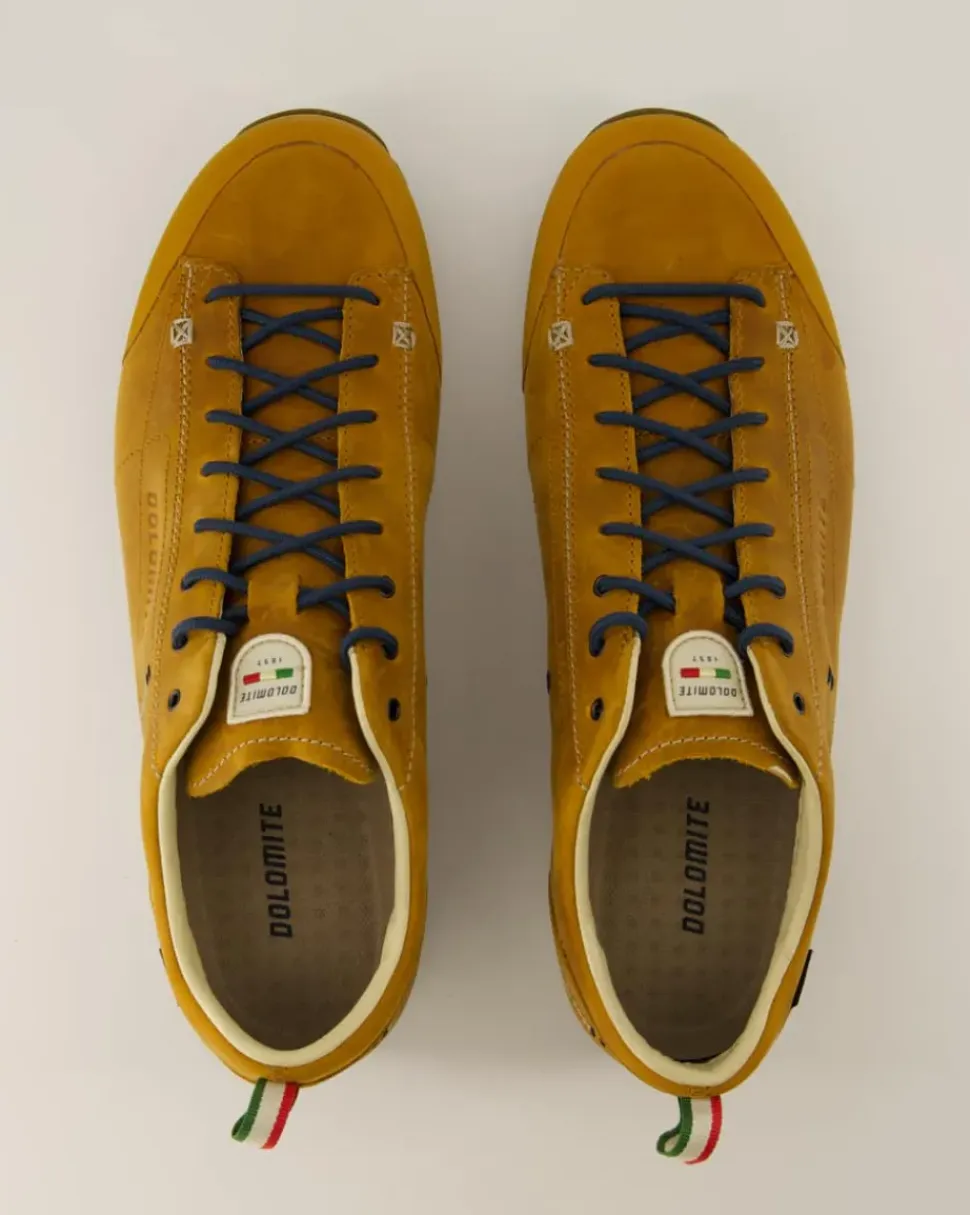 Low Fg Evo GTX Wanderschuhe in Braun