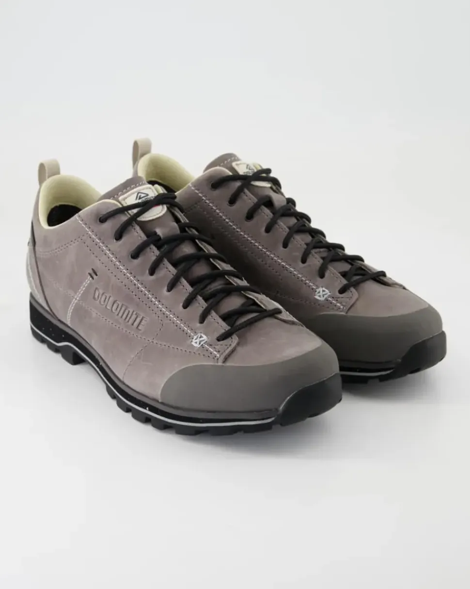 Low Fg Evo GTX Wanderschuhe in Grau