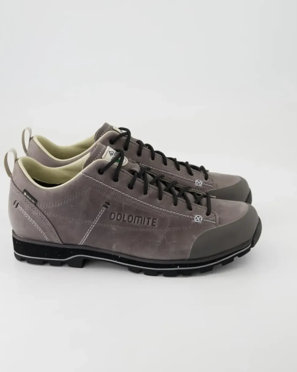Low Fg Evo GTX Wanderschuhe in Grau