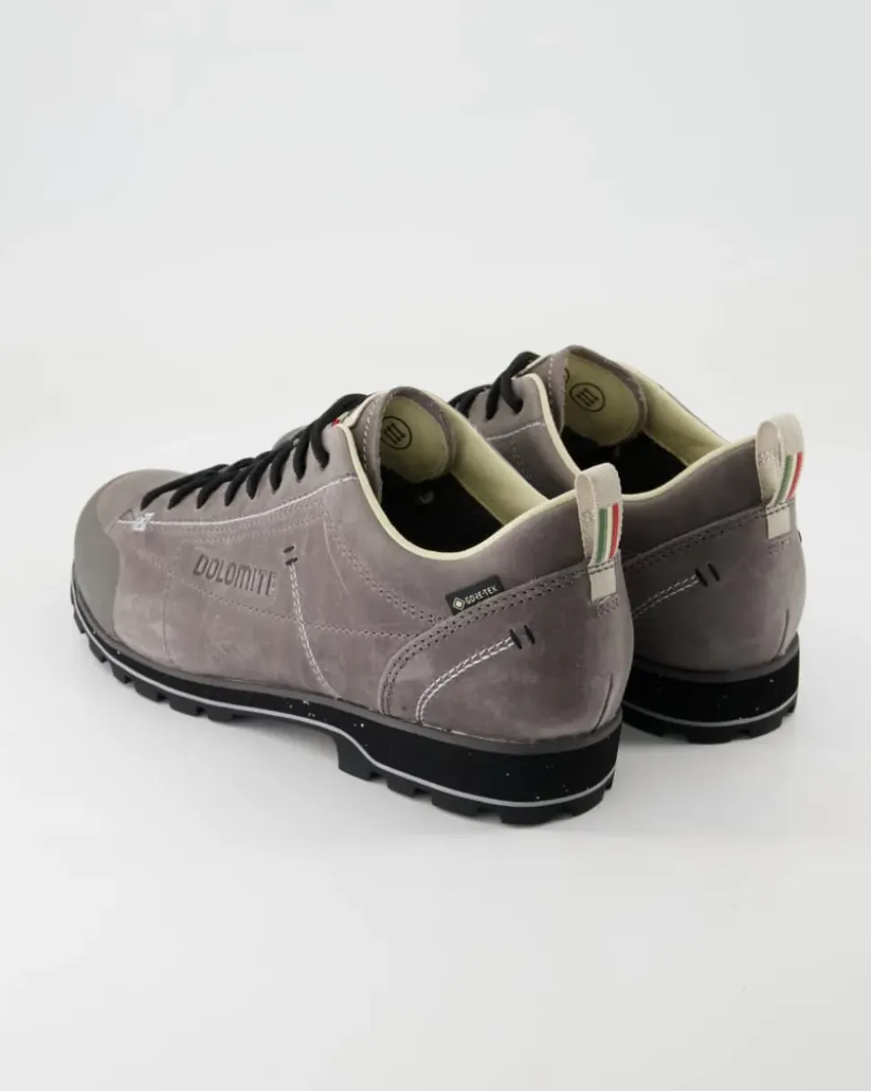 Low Fg Evo GTX Wanderschuhe in Grau