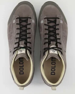 Low Fg Evo GTX Wanderschuhe in Grau