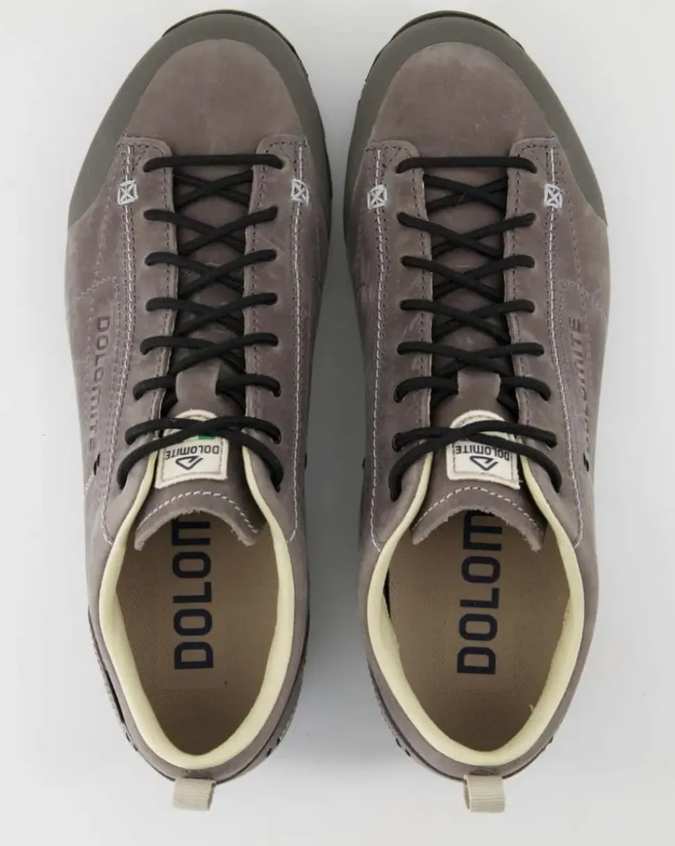 Low Fg Evo GTX Wanderschuhe in Grau