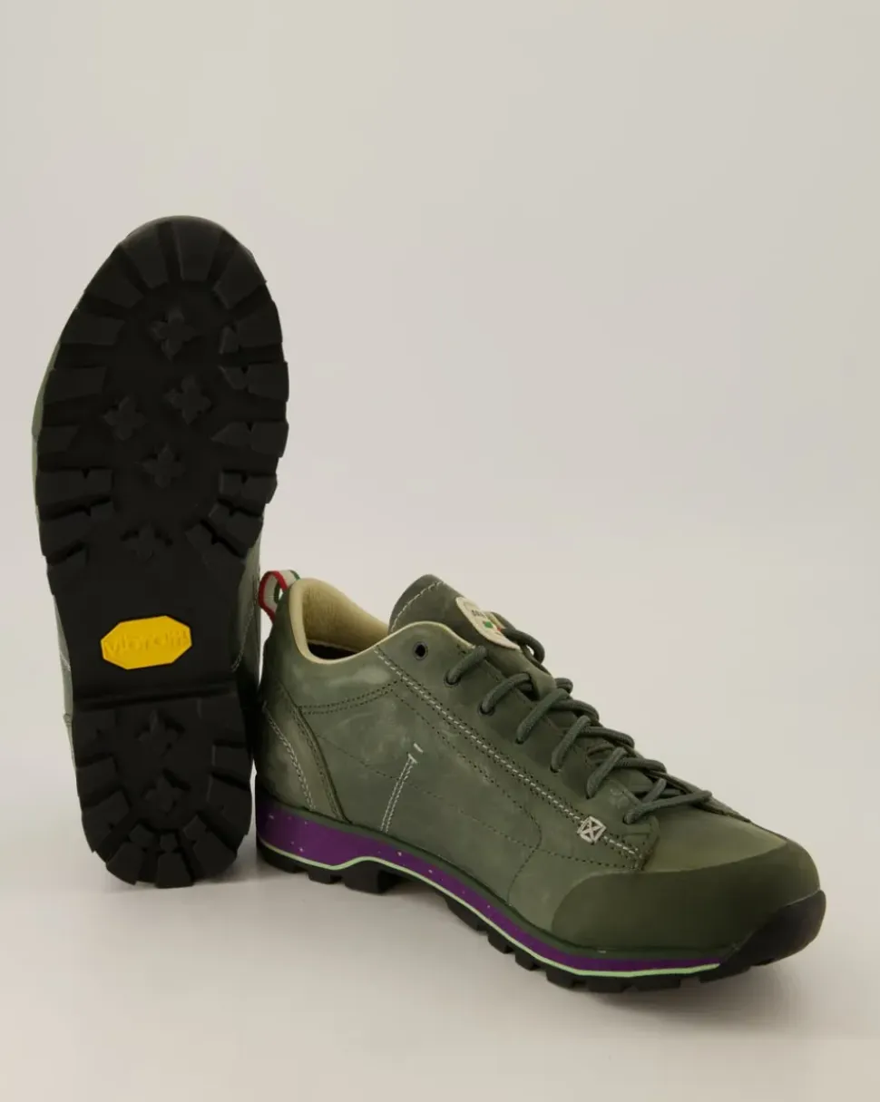 Low Fg Evo GTX Wanderschuhe in Grün