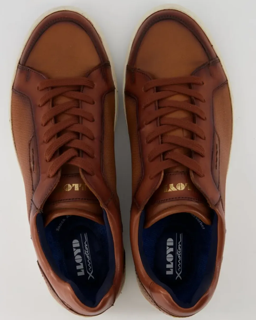 MALAGA Sneaker in Braun