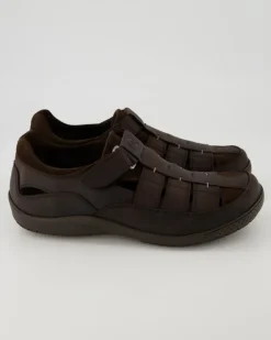 Meridian Basics C1 Slipper in Braun