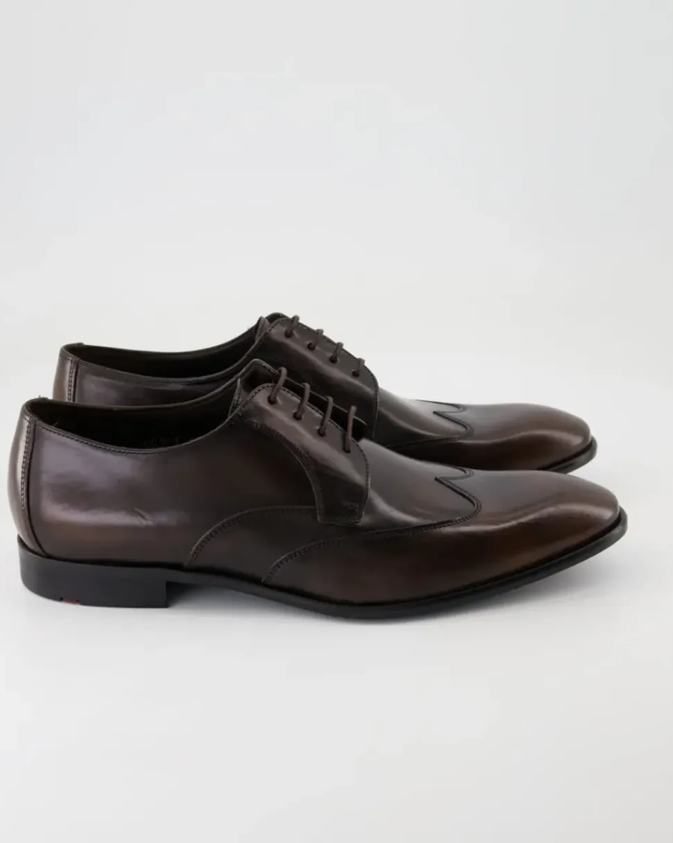 PERCY Business Schuhe in Braun