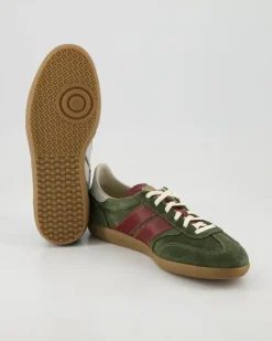 Pulse Sneaker in Grün