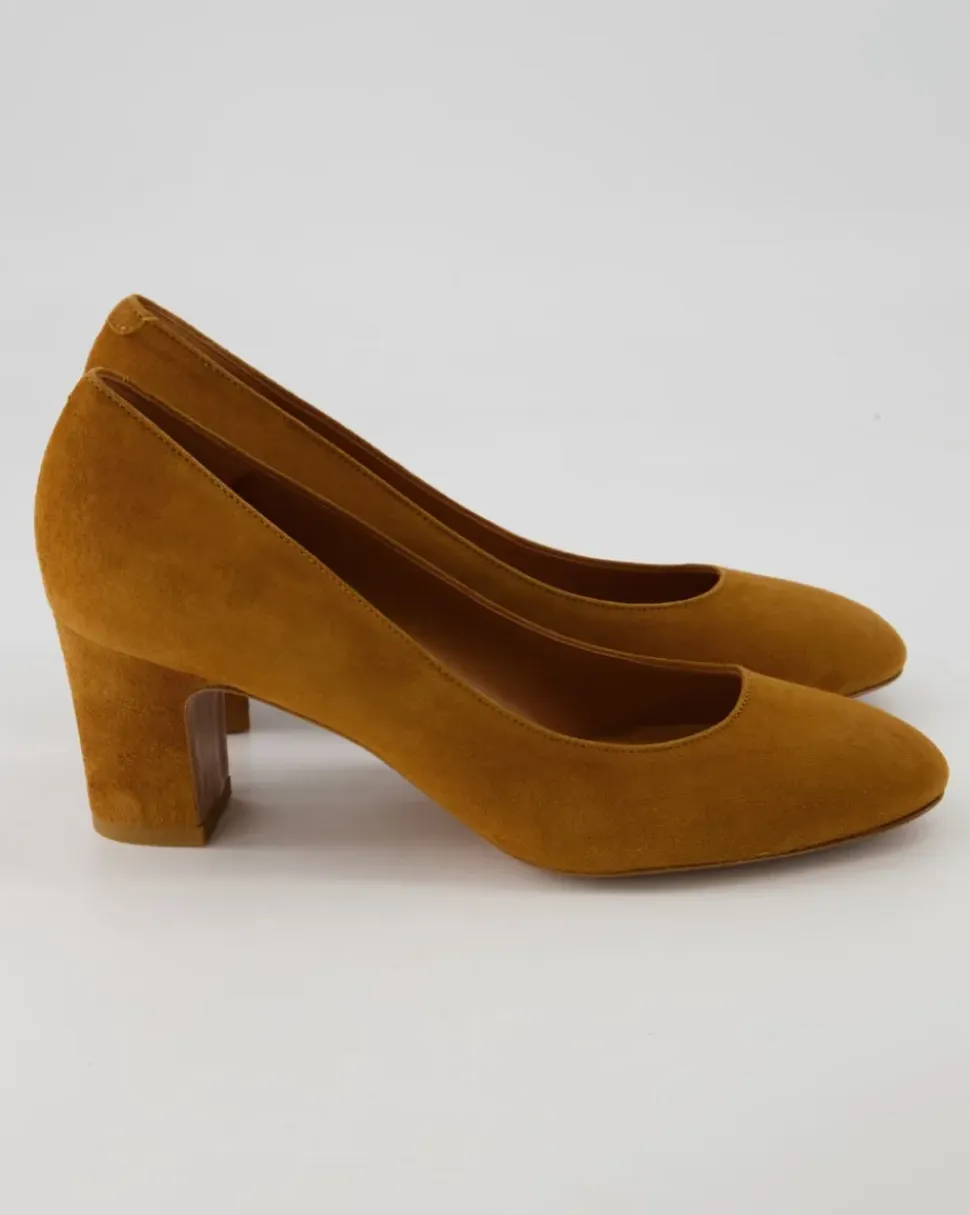 Robin Pumps in Braun